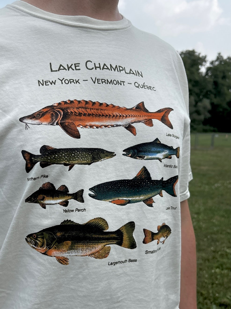 Lake Champlain Fish T-Shirt – Freshwater Fishing Tee – Vermont Nature Shirt – Gift for Anglers & Lake Life Lovers