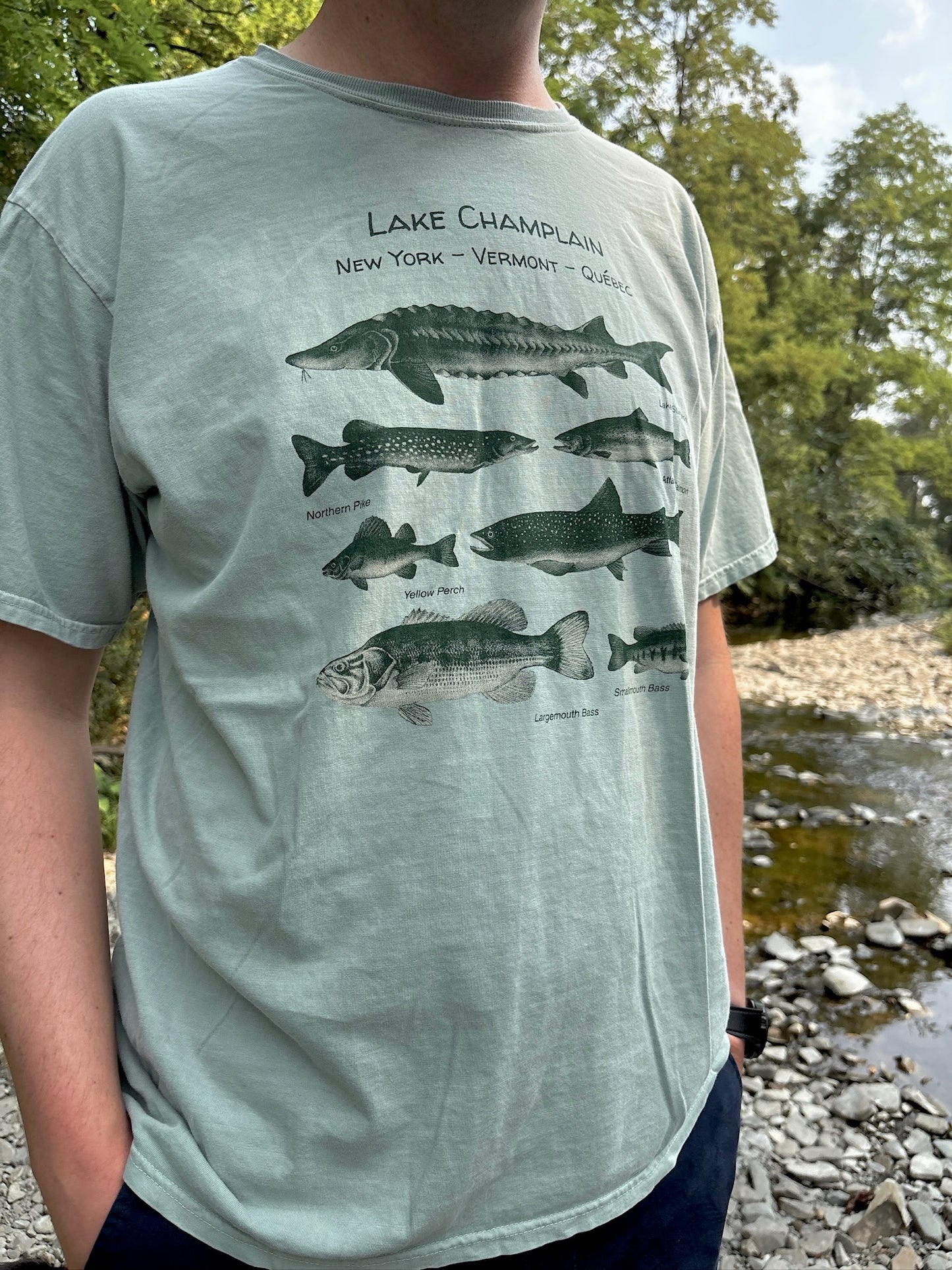 Lake Champlain Fish T-Shirt – Freshwater Fishing Tee – Vermont Nature Shirt – Gift for Anglers & Lake Life Lovers