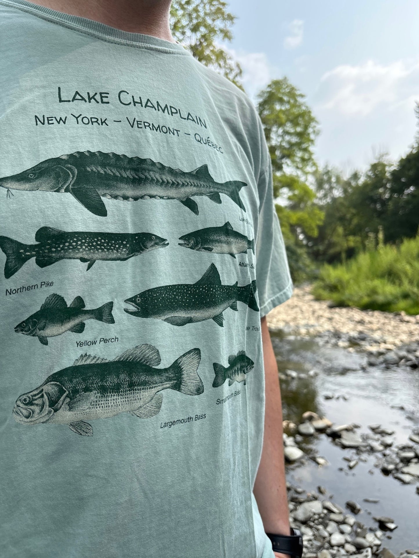 Lake Champlain Fish T-Shirt – Freshwater Fishing Tee – Vermont Nature Shirt – Gift for Anglers & Lake Life Lovers