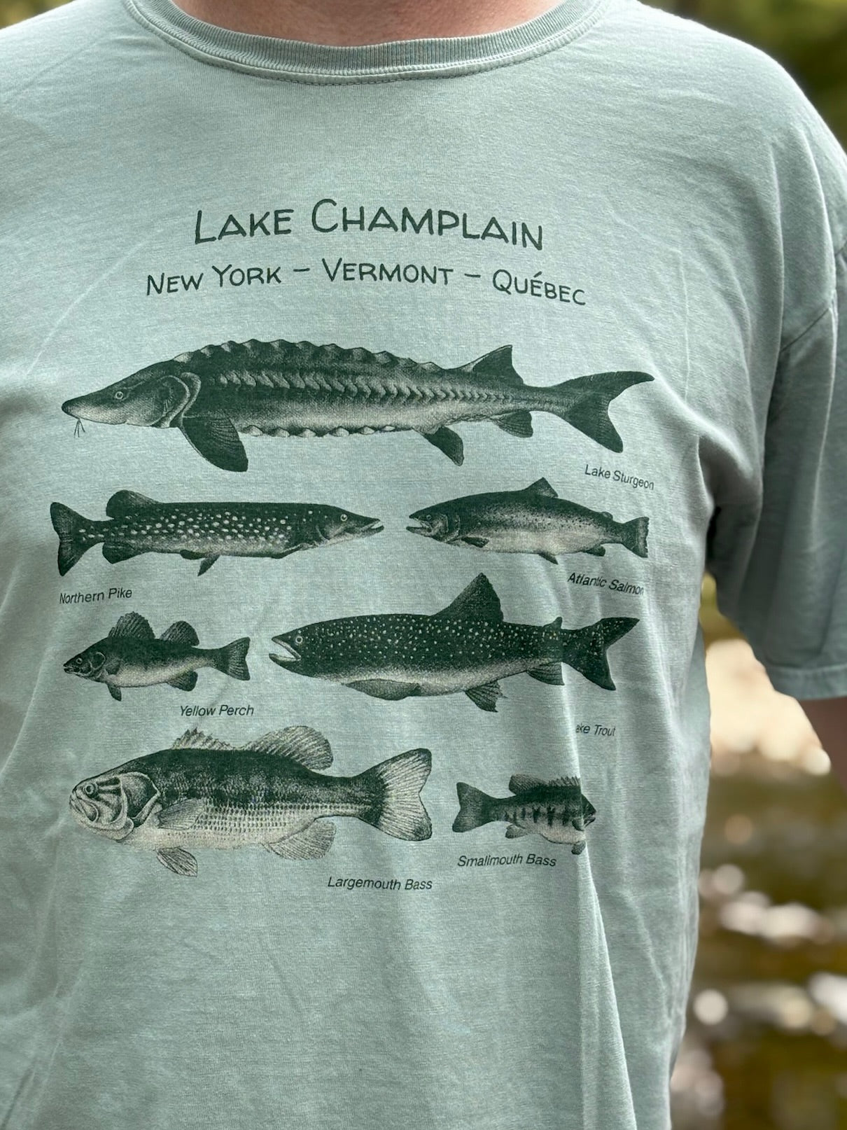 Lake Champlain Fish T-Shirt – Freshwater Fishing Tee – Vermont Nature Shirt – Gift for Anglers & Lake Life Lovers