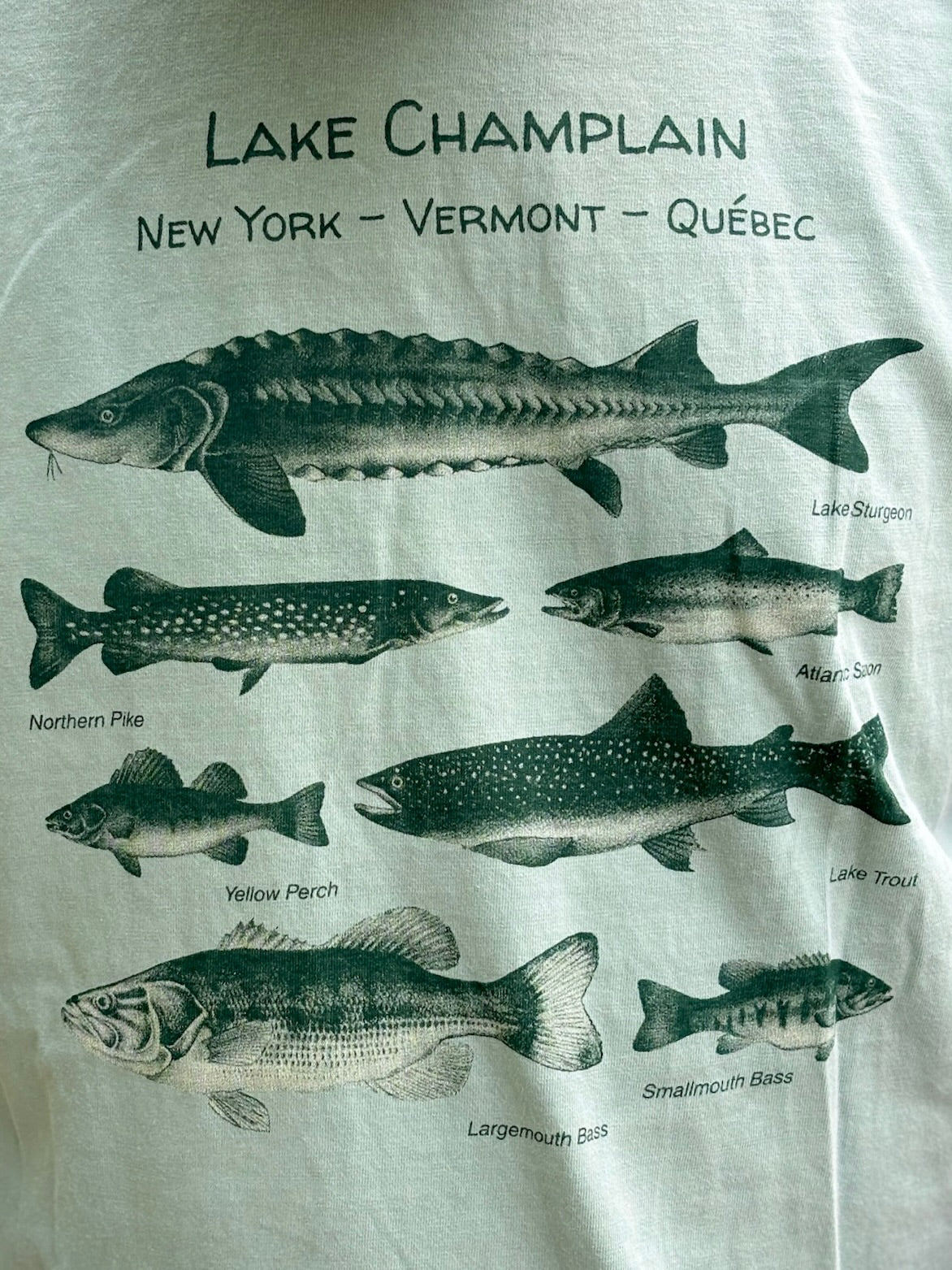 Lake Champlain Fish T-Shirt – Freshwater Fishing Tee – Vermont Nature Shirt – Gift for Anglers & Lake Life Lovers