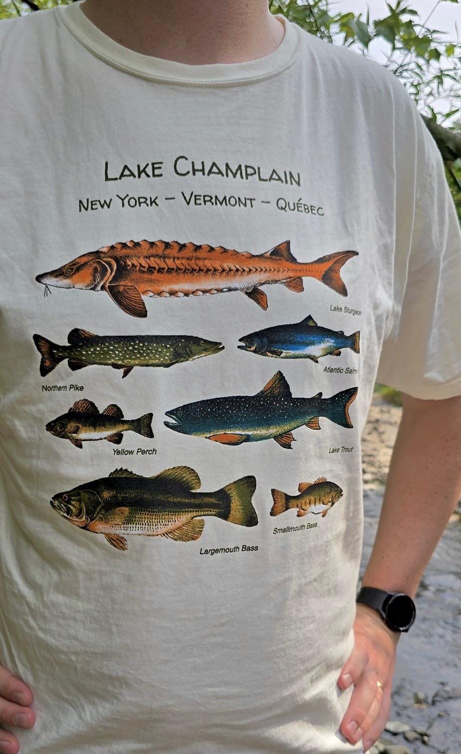 Lake Champlain Fish T-Shirt: Vermont Angler Tee - Two Color Options