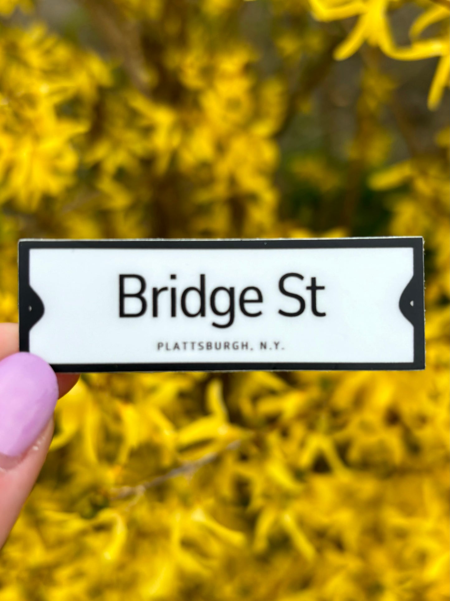 City of Plattsburgh Historic Street Sign Stickers