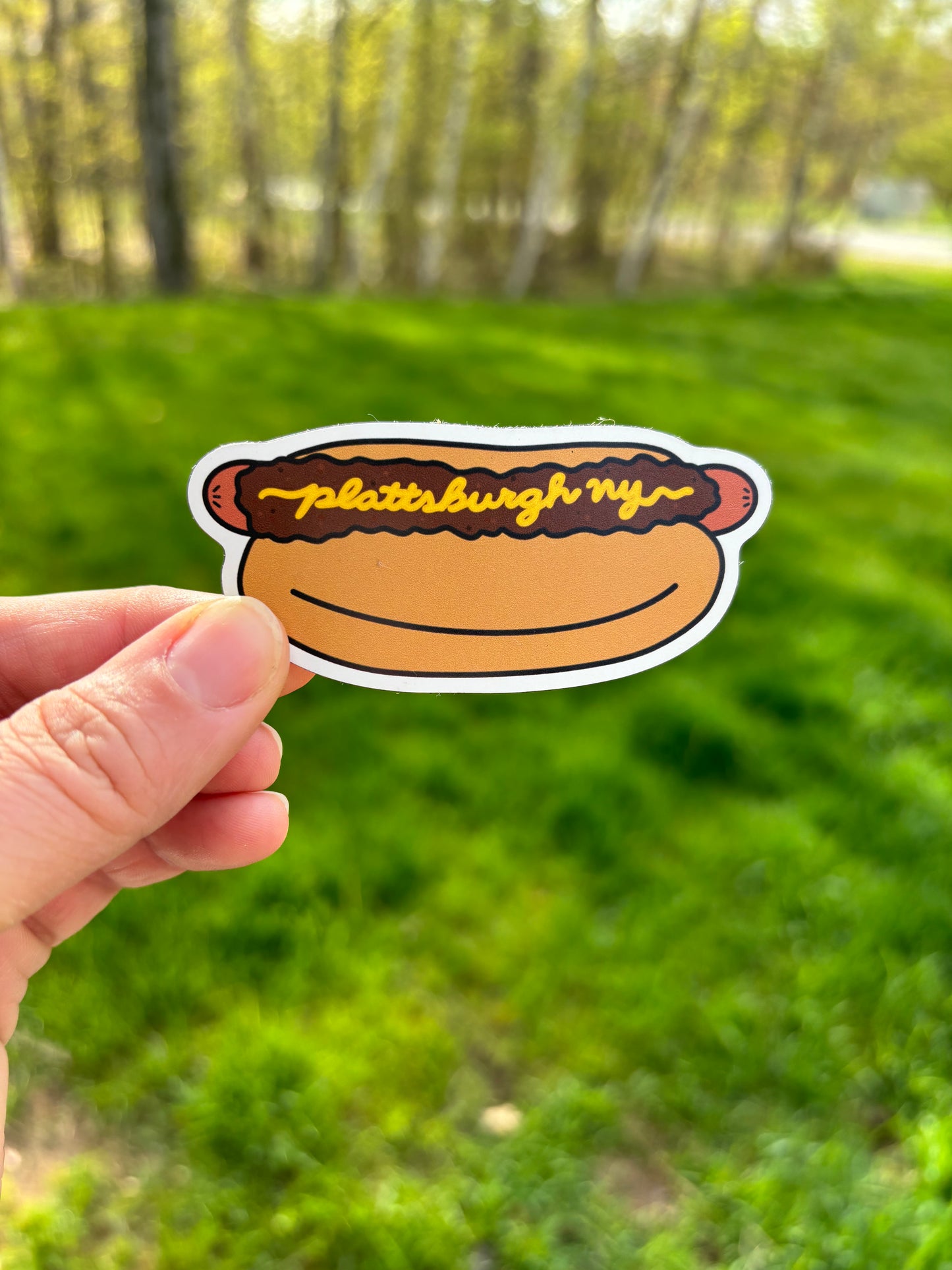 Plattsburgh, NY Michigan Hot Dog Magnet