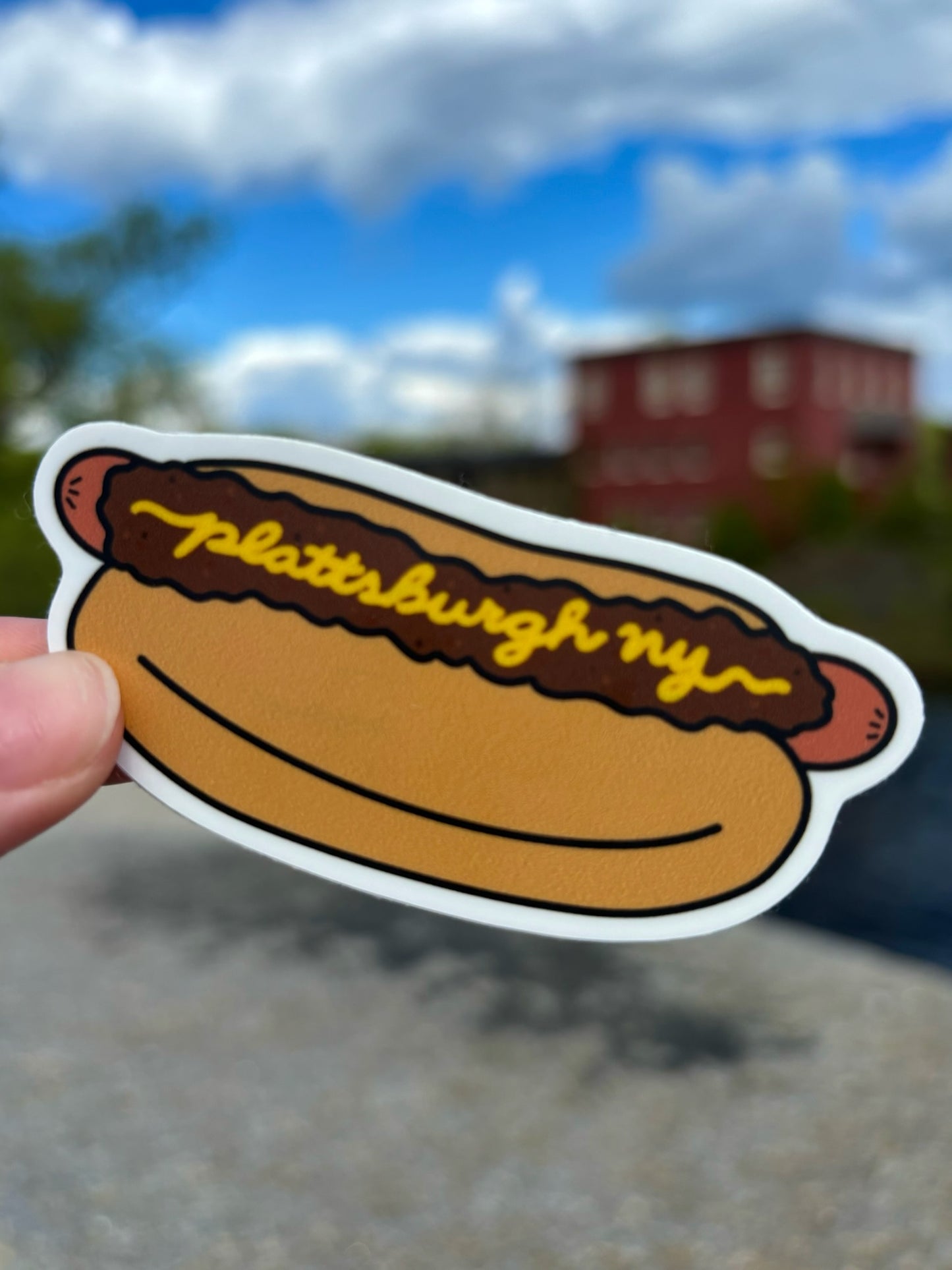 Plattsburgh, NY Michigan Hot Dog Magnet