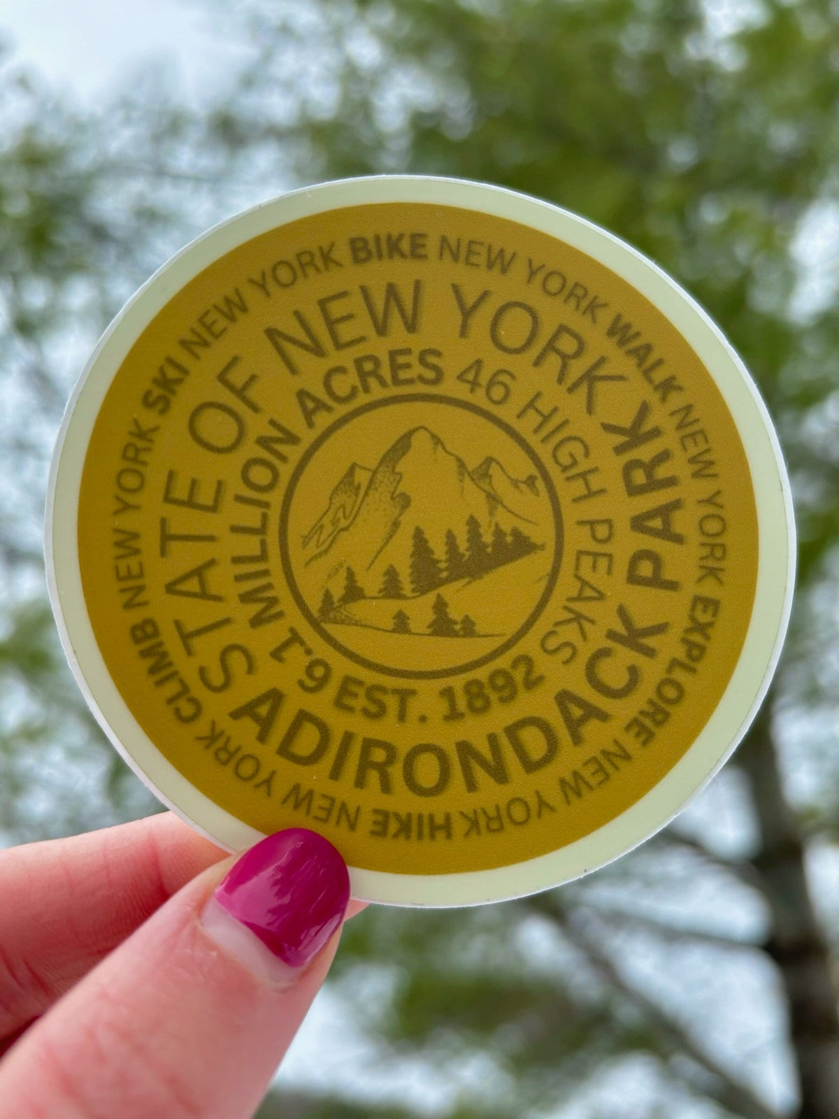 Adirondack Mountain Marker Sticker: ADK Hiker Gift