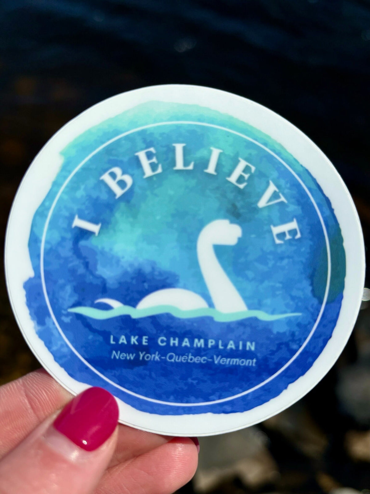 Lake Champlain Champy Magnet: North Country Souvenir