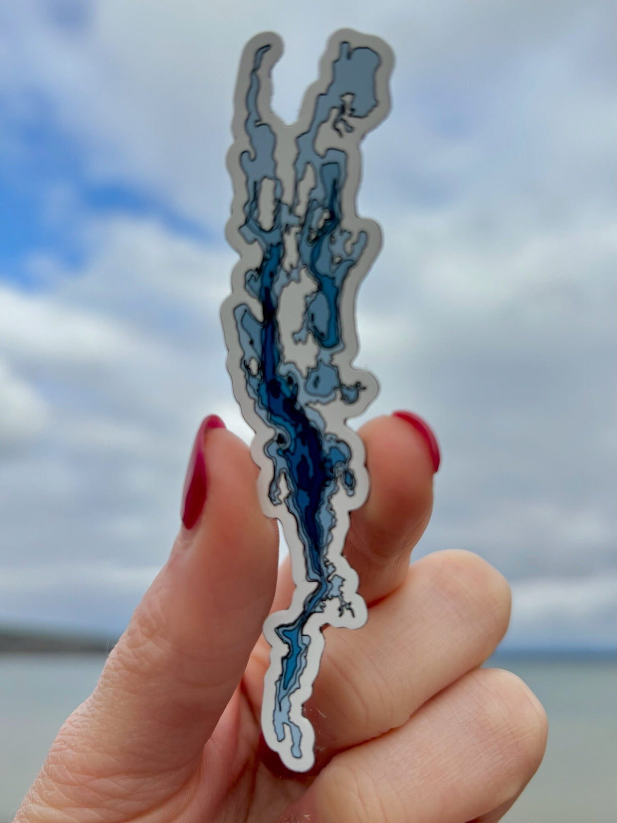 Lake Champlain Depth Map Magnet: Upstate NY Souvenir