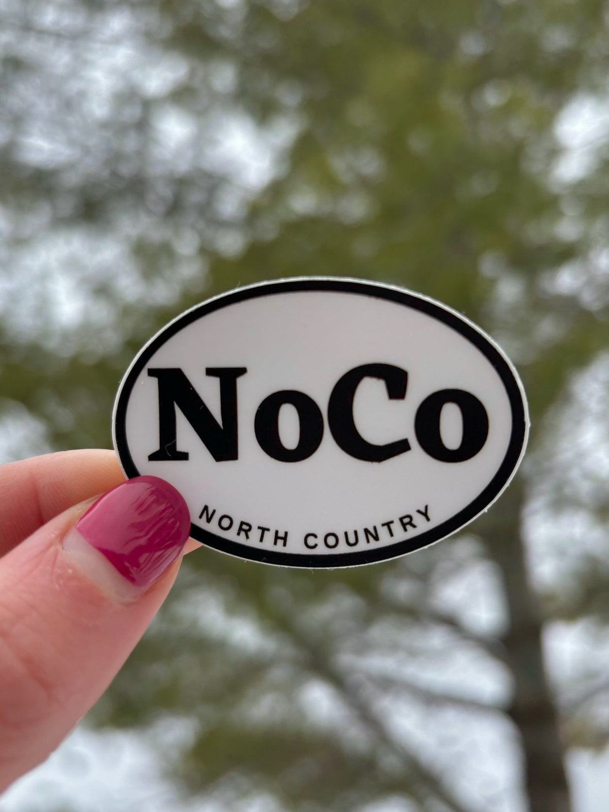 North Country NoCo Magnet: Plattsburgh, NY Pride