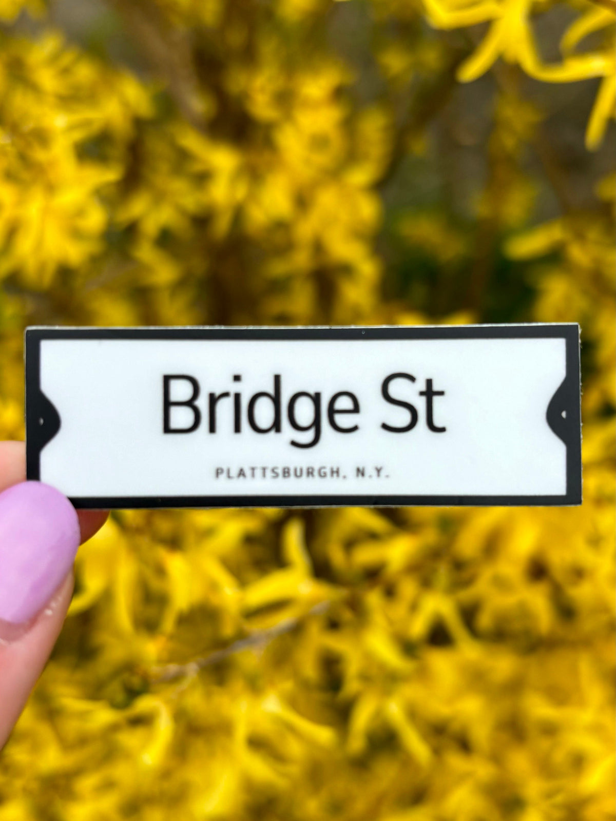 City of Plattsburgh Historic Street Signs Stickers