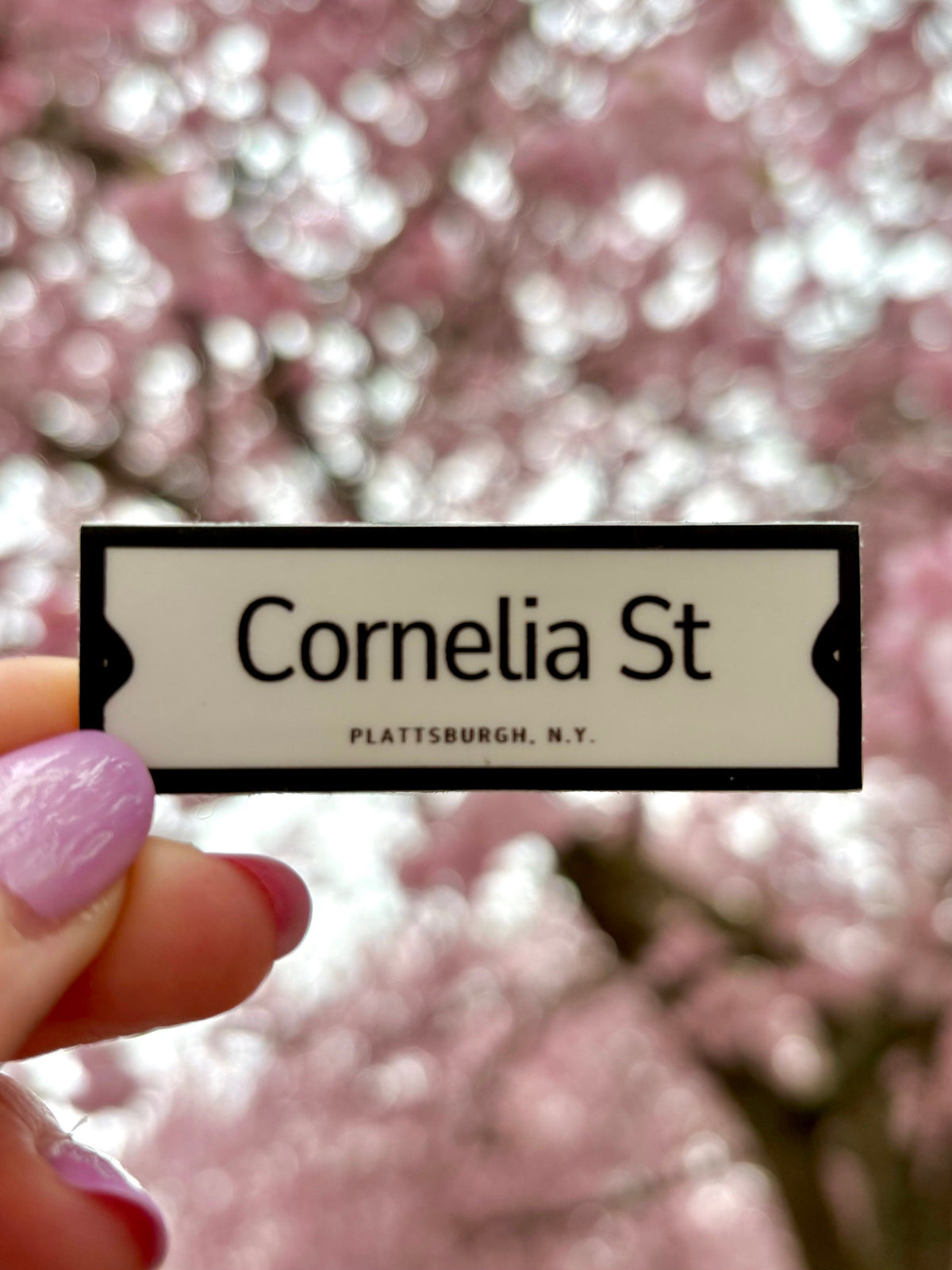 City of Plattsburgh Historic Street Signs Stickers