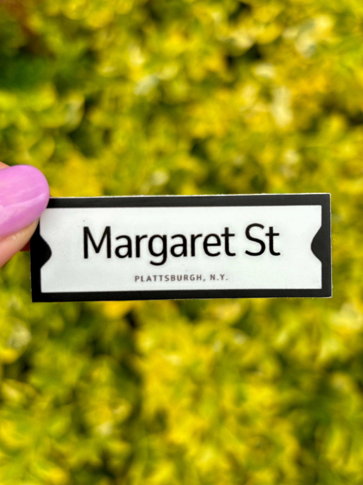 City of Plattsburgh Historic Street Signs Stickers