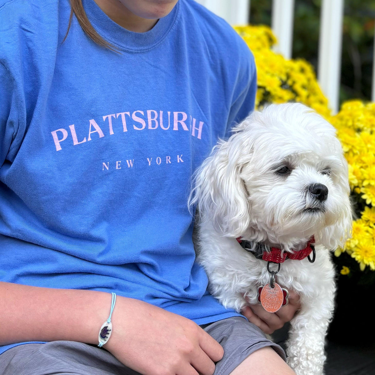 Plattsburgh, NY T-Shirt | Comfort Colors Tee | Lake City Pride | North Country Apparel | SUNY Plattsburgh Graduation Gift | Adirondack | 518