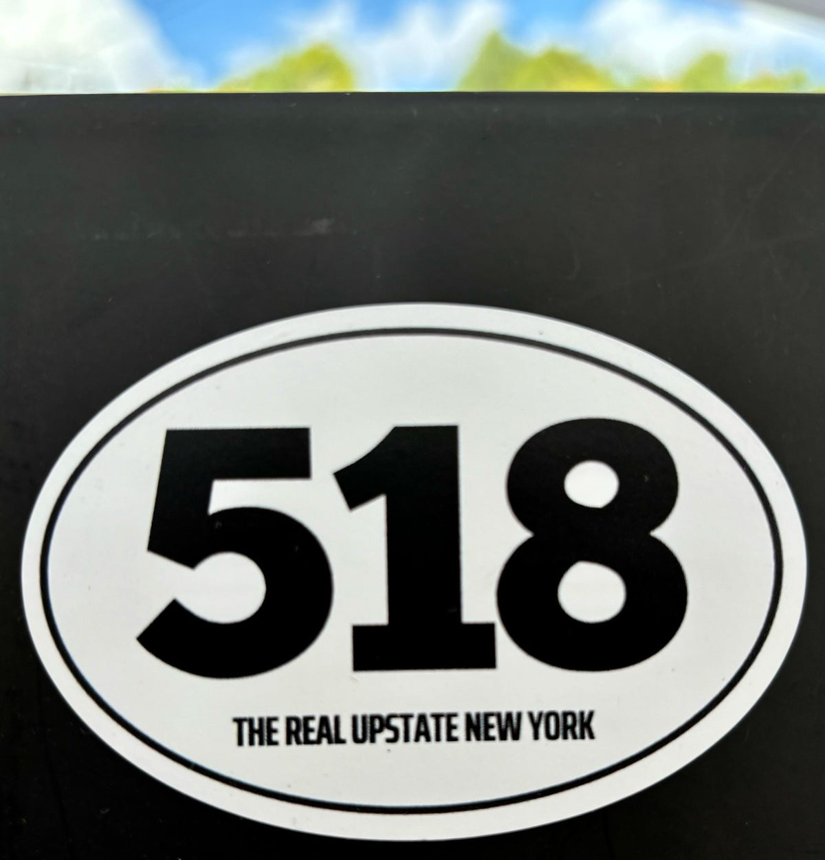 518 The Real Upstate Magnet - New York Pride