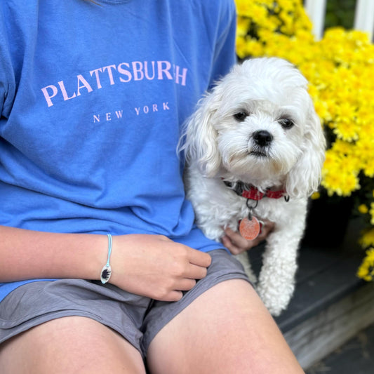 Plattsburgh, NY T-Shirt | Comfort Colors Tee | Lake City Pride | North Country Apparel | SUNY Plattsburgh Graduation Gift | Adirondack | 518