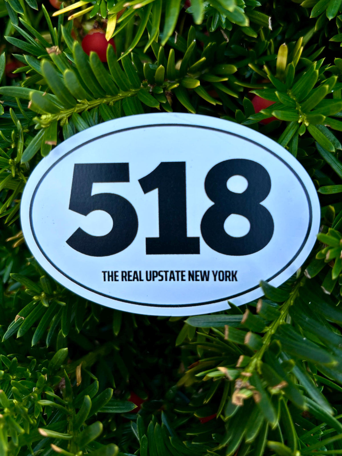 518 The Real Upstate Magnet - New York Pride