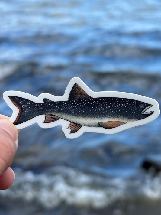 Lake Champlain Lake Trout Sticker,  Fishing Decal, Adirondack Fish Sticker, Vermont Lake Sticker, Trout Fishing Gift, Boat Sticker