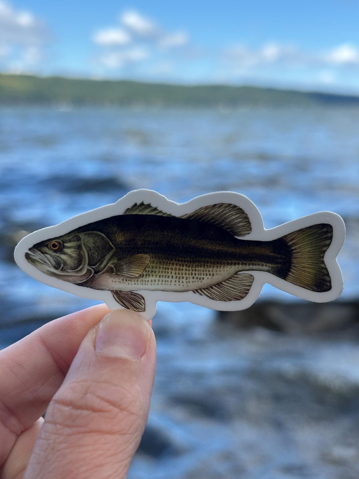 Largemouth Bass Sticker Lake Champlain Fishing Decal, Bass Fishing Sticker, Angler Gift, Fisherman Gift, Lake Champlain Sticker