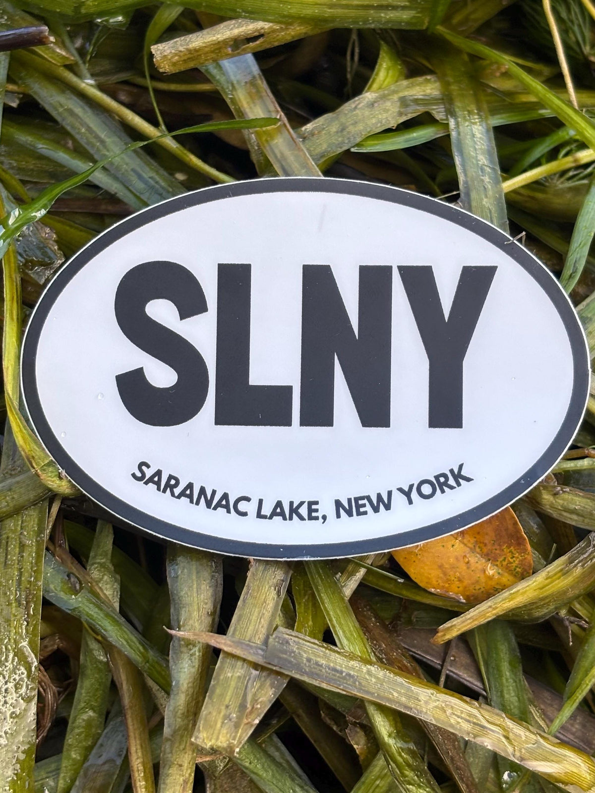 SLNY Saranac Lake Sticker, Saranac Lake NY Sticker, Adirondack Sticker, New York Lake Sticker, Upstate NY Decal, Outdoor Adventure Sticker