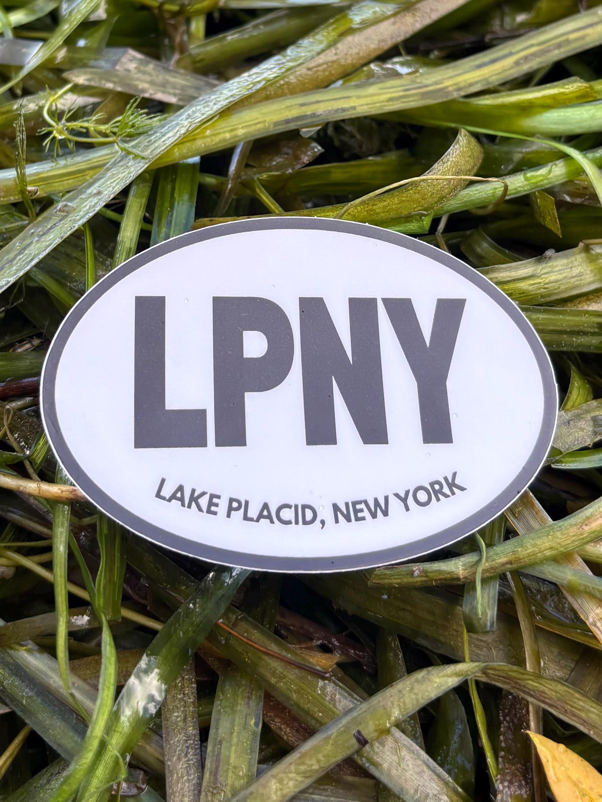 LPNY Lake Placid Sticker, Lake Placid NY Sticker, Adirondack Sticker, New York Lake Sticker, Upstate NY Decal, Lake Placid Souvenir