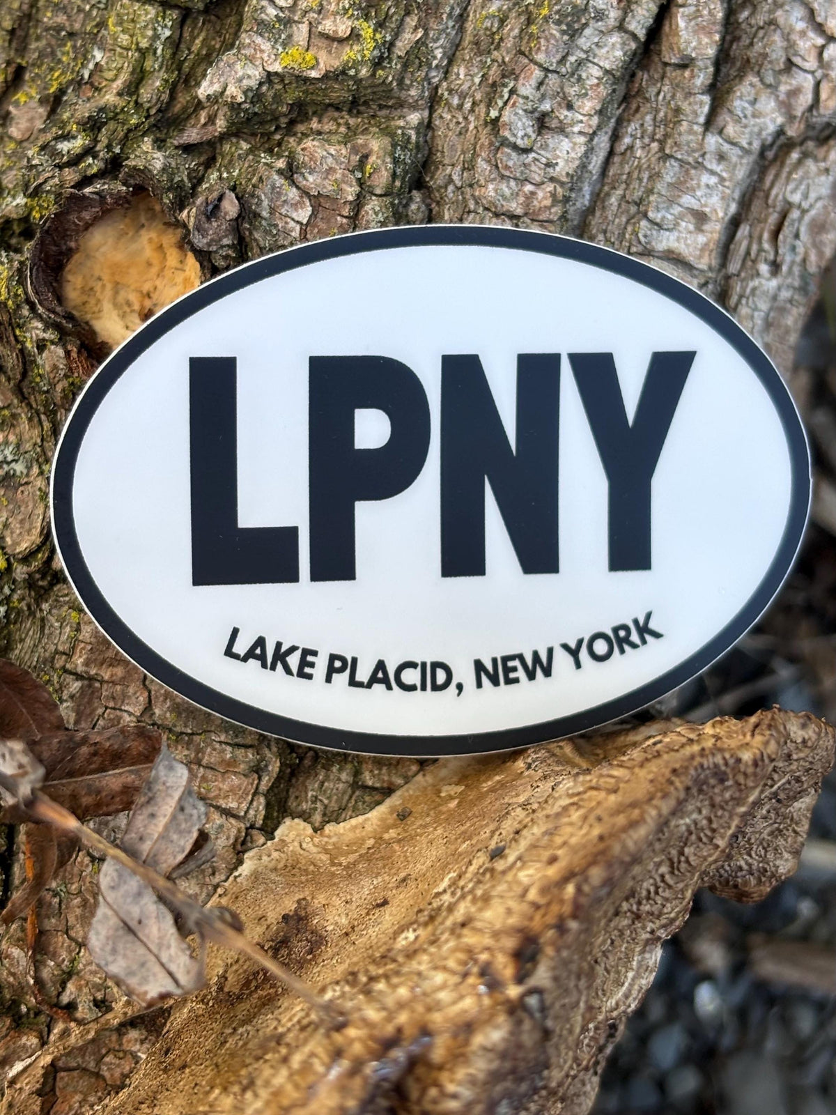 LPNY Lake Placid Sticker, Lake Placid NY Sticker, Adirondack Sticker, New York Lake Sticker, Upstate NY Decal, Lake Placid Souvenir