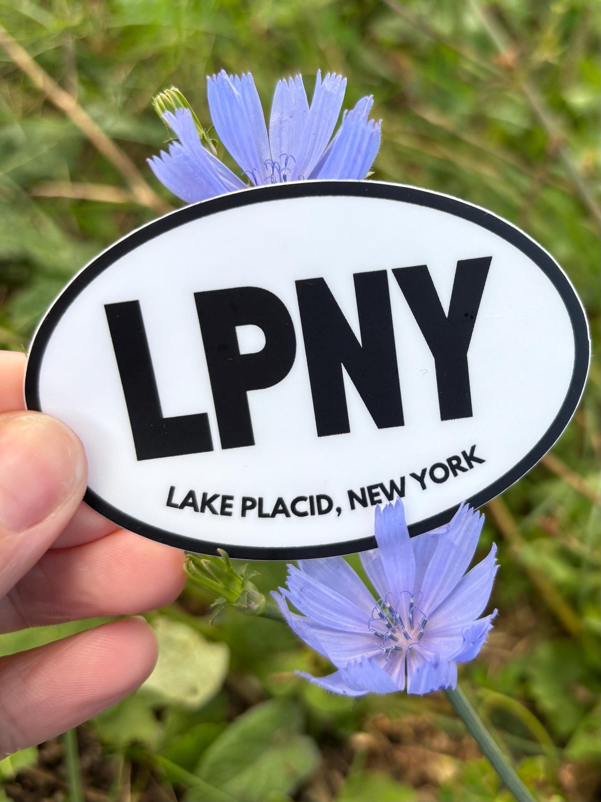 LPNY Lake Placid Sticker, Lake Placid NY Sticker, Adirondack Sticker, New York Lake Sticker, Upstate NY Decal, Lake Placid Souvenir